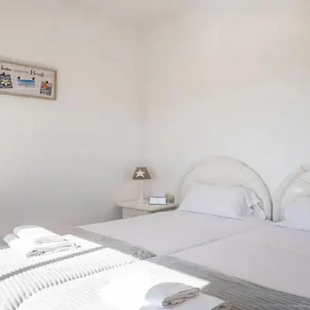 Zen * Σαν Μιγκέλ ντε Αμπόνα